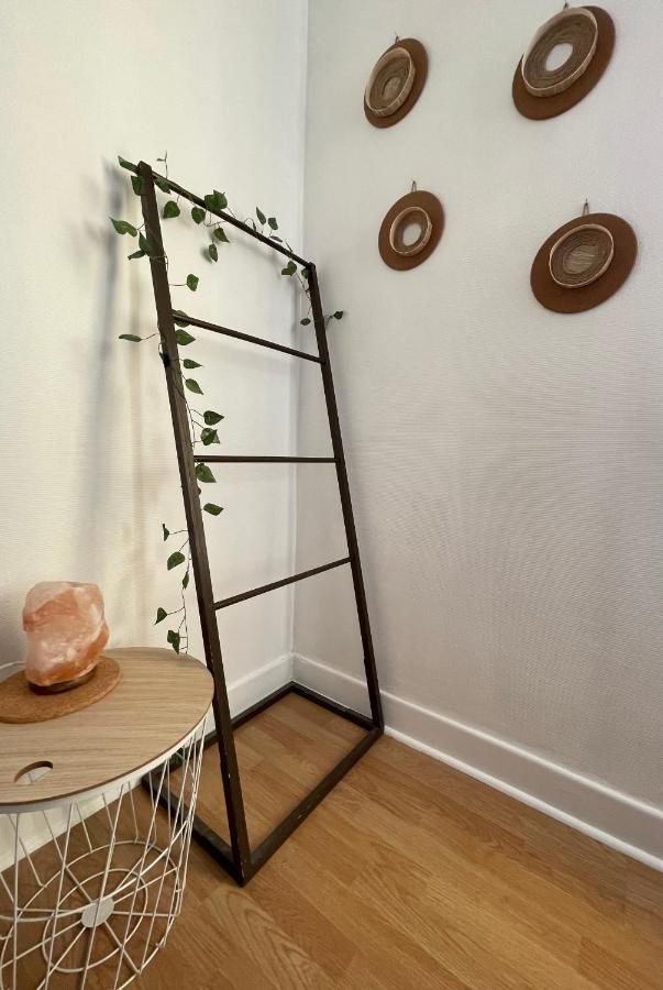 * Le Mistral De Chloe * Apartment Каркасон Екстериор снимка